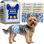 A dog wearing a blue paw-print patterned disposable male dog diaper stands in front of a large silver package of Nemo's Diary disposable male dog diapers, with folded stacks of the same diapers shown behind it on a white background.