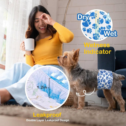 Woman with a dog wearing a blue and white diaper with a wetness indicator, sitting on a carpeted floor.