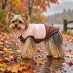 Meela’s Rainy Stroll Yorkie Jacket