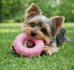 Meela’s Donut Hunt Treat Toy