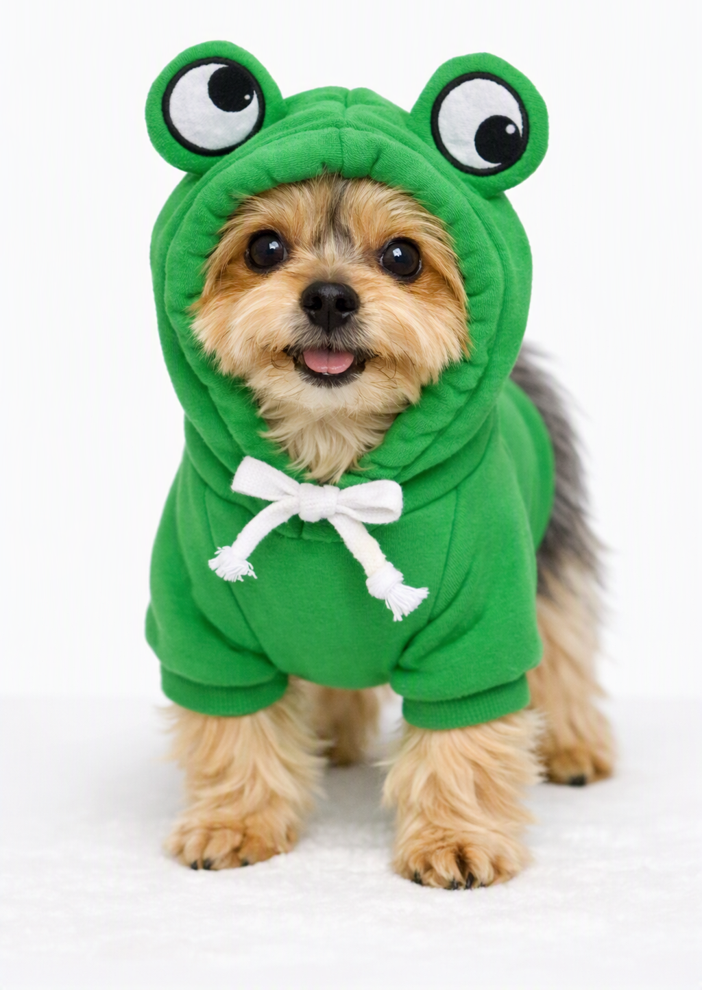 Meela’s Chill Day Yorkie Sweater