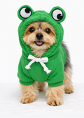 Meela’s Chill Day Yorkie Sweater