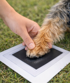 Meela’s Tiny Pawprint Keepsake Kit