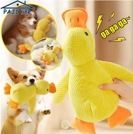 Meela’s Quacky Duck Yorkie Toy