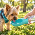 Meela’s Little Sip Yorkie Water Bottle