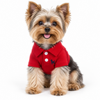 Meela’s Little Classic Yorkie Polo