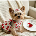 Meela’s Sweet Strawberry Yorkie Dress