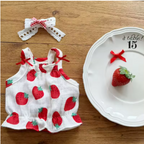Meela’s Sweet Strawberry Yorkie Dress