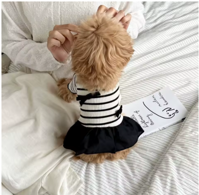 Meelas StripePup