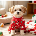 Meelas SantaPaws