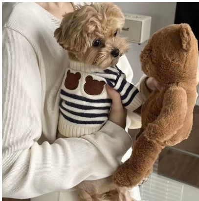 Meelas Cozy Bear Cardigan