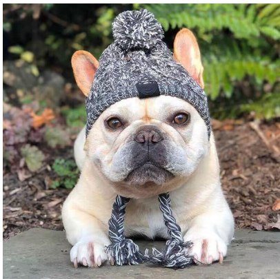 Meela Fluffy Pom Hat 🐶❄️