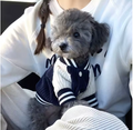 Meelas Pawsity Jacket