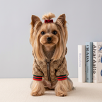 A small fluffy cream-colored dog wearing a brown monogram-patterned hoodie with red and green stripes on the sleeves, sitting against a lavender background with books on the side.