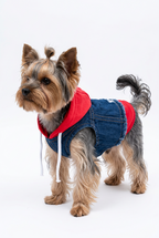 Meelas Street Paw Denim