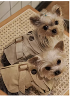 Meelas Cozy Brit Coat