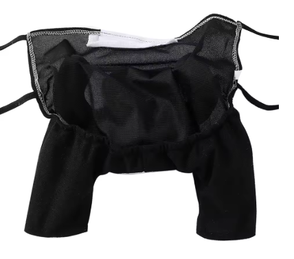 Meelas Divine Dog Outfit