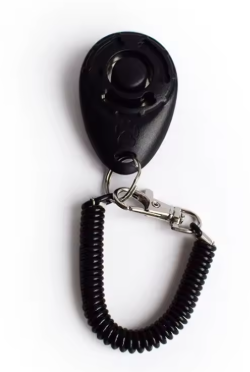 Meelas Paw Trainer