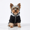 Meelas Winter Woof Hoodie 🐾❄️