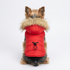 A small brown dog wearing a bright red winter coat with a fluffy tan and cream faux-fur hood, posed on a woven straw mat with flowers and small decorative props around it.