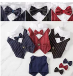 Meelas Classic Dog Tux