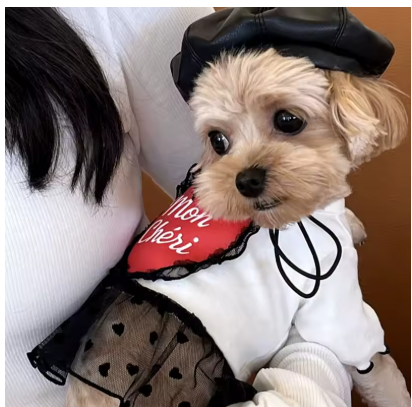 Meelas Autumn Pet Fashion Set