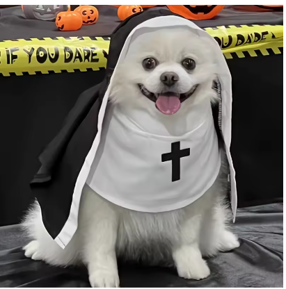Meelas Saintly Paws Costume