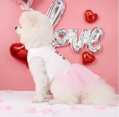 Meelas Valentine Tulle Dress