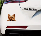 Meelas Cute Yorkie Decal