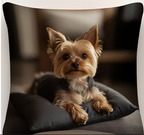 Meelas Yorkie Cushion Cover