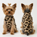 Meelas Teacup Dog Plaid Sweater