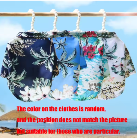 Meela’s Beach Day Shirt