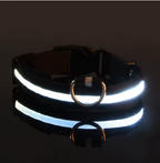 Meela’s Glow Walk Leash & Collar Set