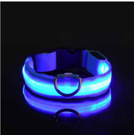 Meela’s Glow Walk Leash & Collar Set