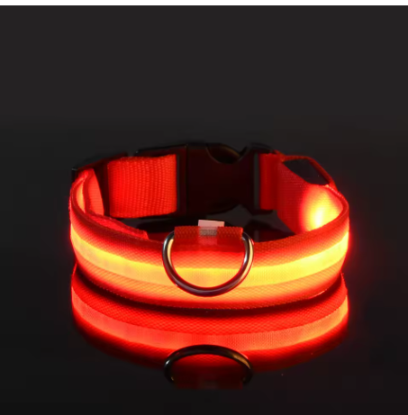 Meela’s Glow Walk Leash & Collar Set