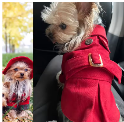 Meelas Cozy Brit Coat