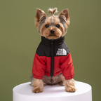 Meelas Winter Vogue