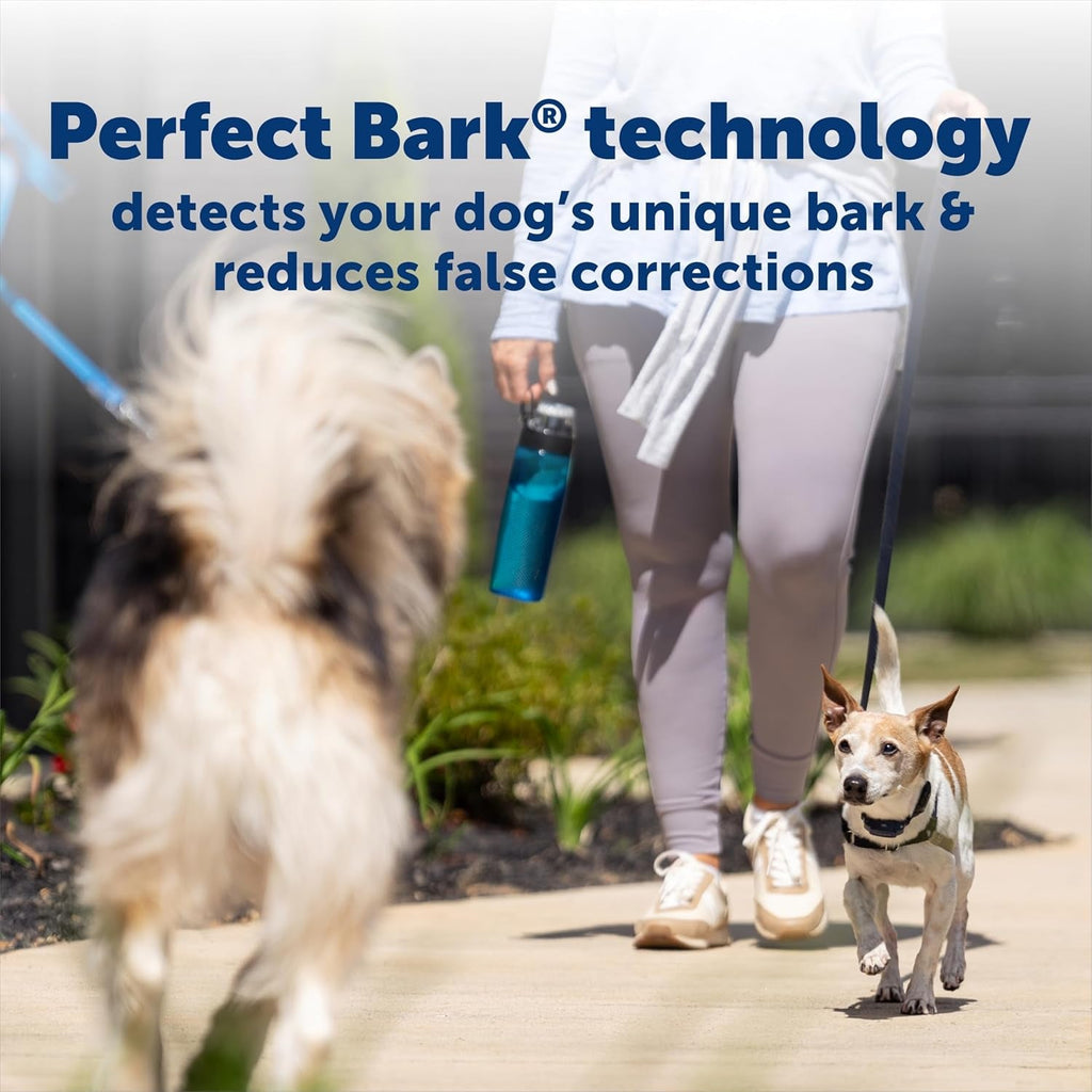 PetSafe NanoBark 2.0 Bark Collar for Small Dogs Rechargeable Waterproof