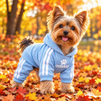 Meela’s Little Streetwear Yorkie Hoodie