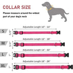 Reflective Nylon Dog Collar | Adjustable Safety Strap for Small and Medium Dogs